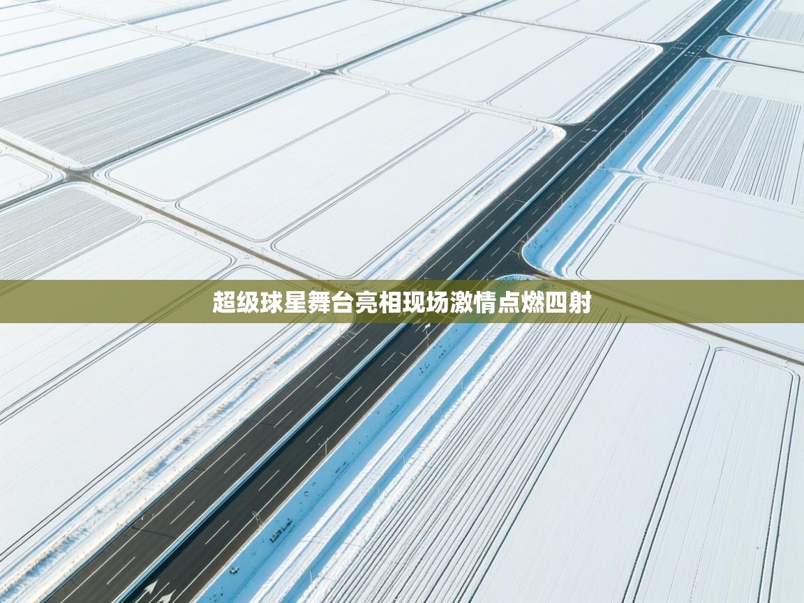 超级球星舞台亮相现场激情点燃四射  第1张