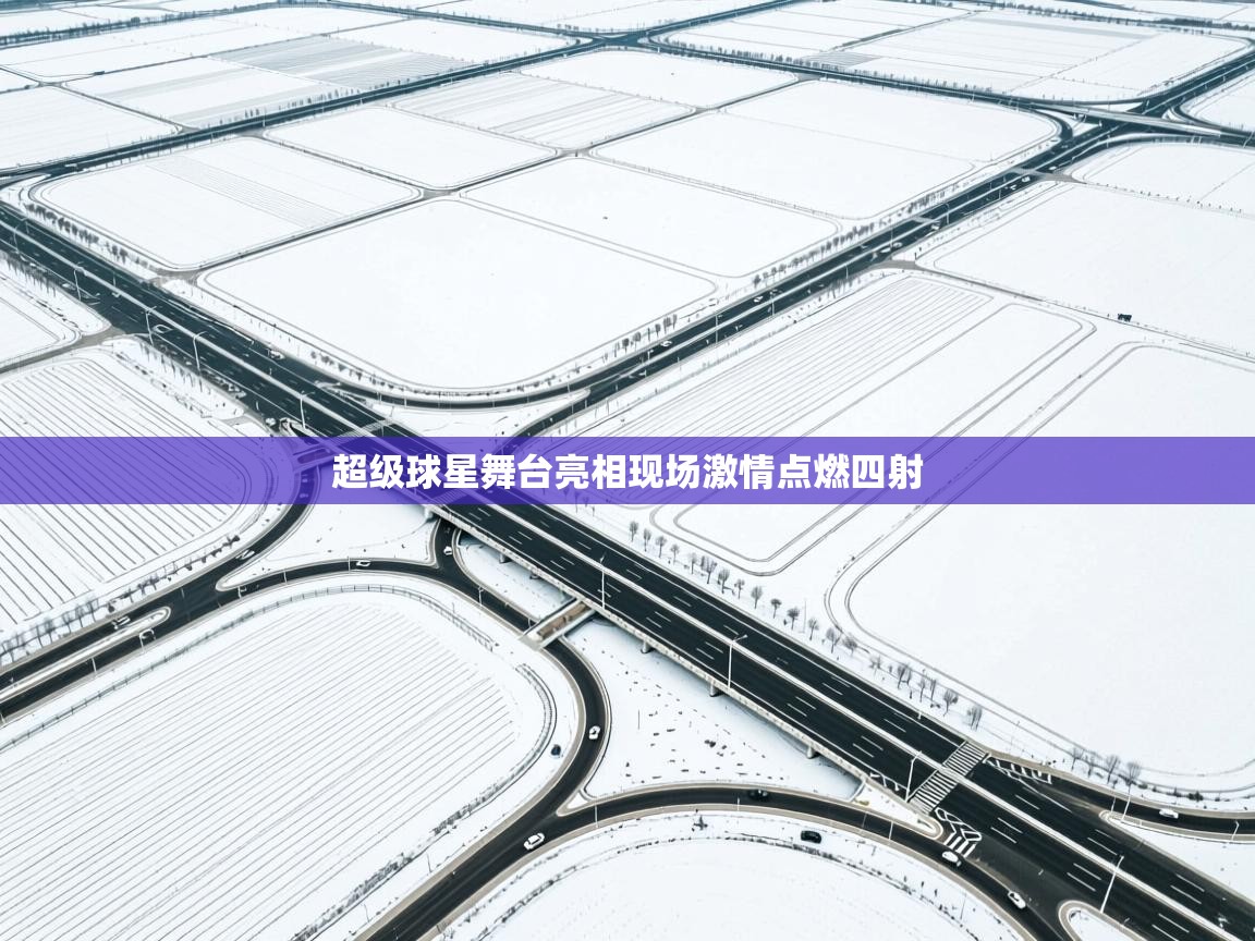 超级球星舞台亮相现场激情点燃四射  第2张