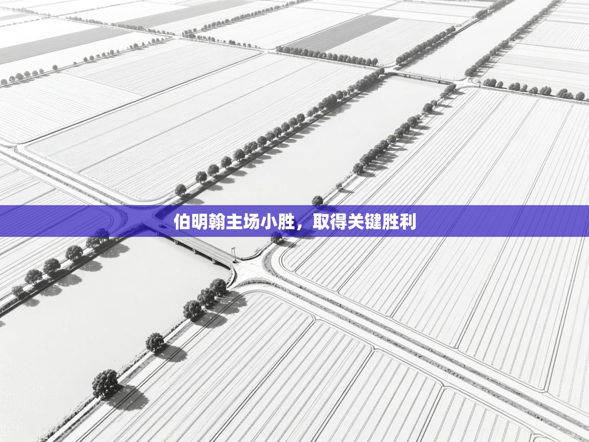 伯明翰主场小胜,取得关键胜利 第1张