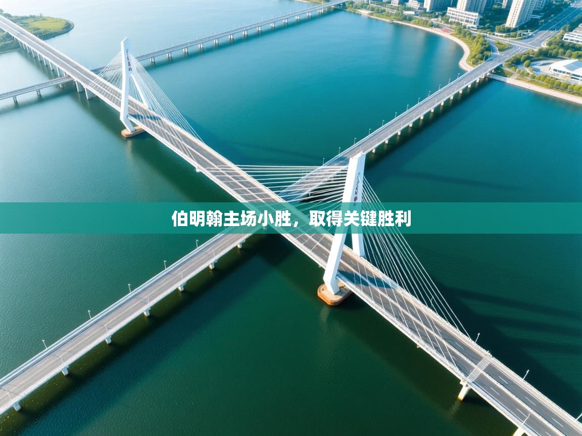 伯明翰主场小胜,取得关键胜利 第2张